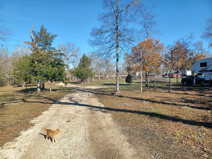 Bloomfield RV Picture 1