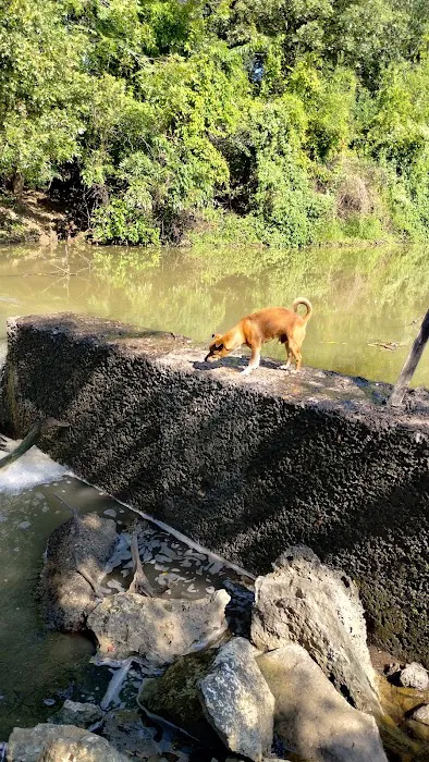 Bloomfield RV Picture 8