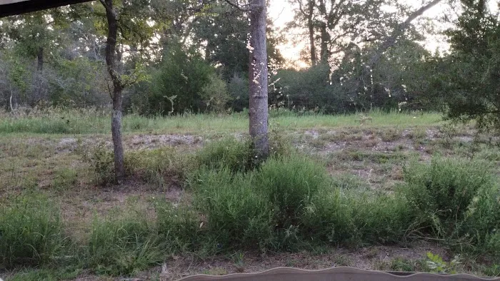 Bloomfield RV Picture 10