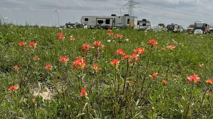 John Wayne's RV Park Picture 3