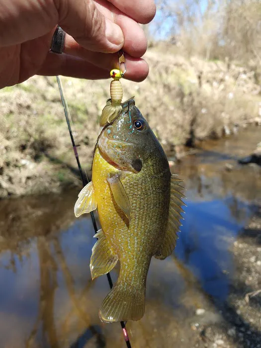 Oak Forest Mobile Home Park Picture 3