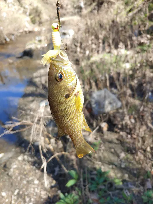 Oak Forest Mobile Home Park Picture 4