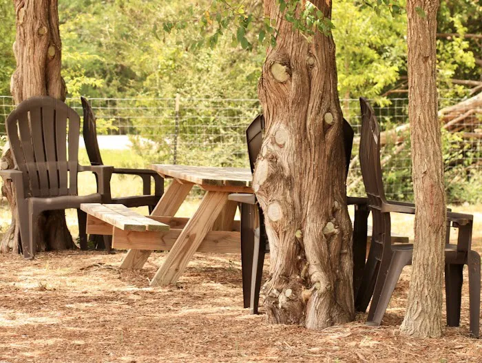 RV Haven Park Picture 9