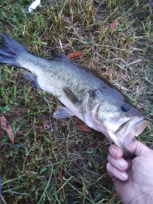 Houston West RV Park Picture 9