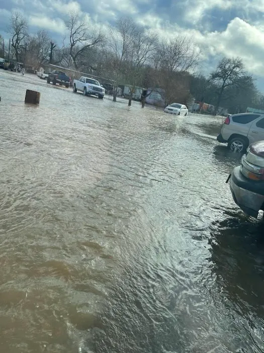 Hidden country lane Picture 1