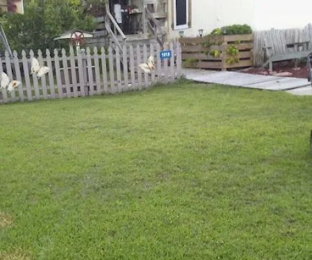 Cozy Acres Mobile Park