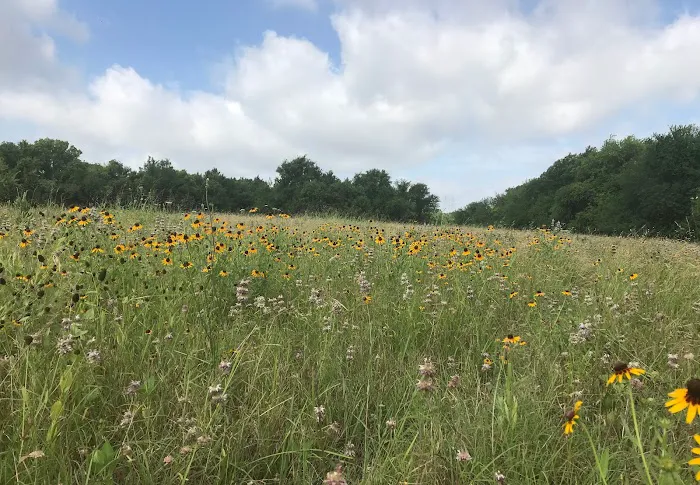 Hidden Grove RV Resort Picture 8