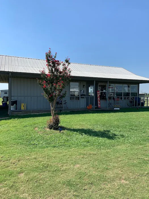 Henry D's RV Park Picture 5