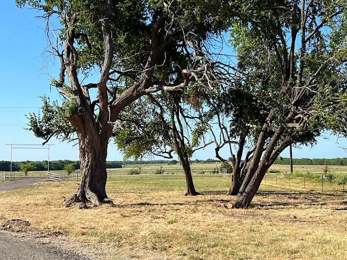 Henry D's RV Park Picture 3