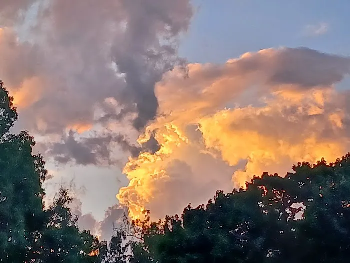 Camp Paris RV Park Picture 8