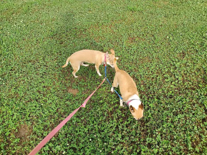 Camp Paris RV Park Picture 9