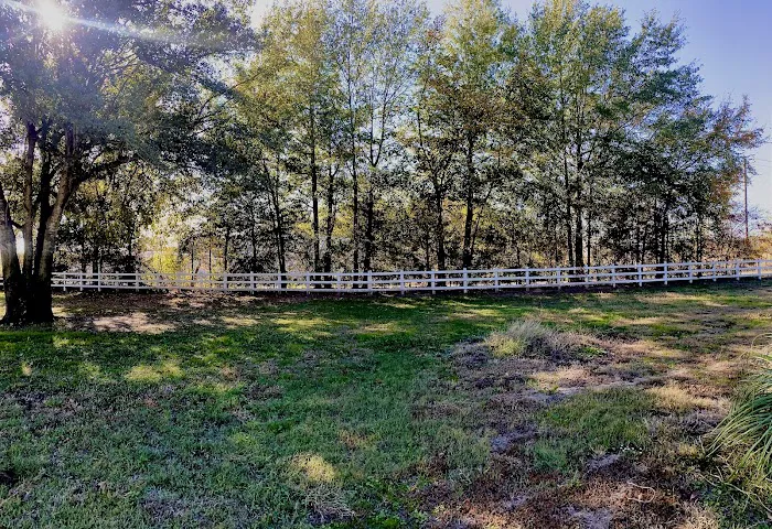 Live Oaks RV park A Picture 2