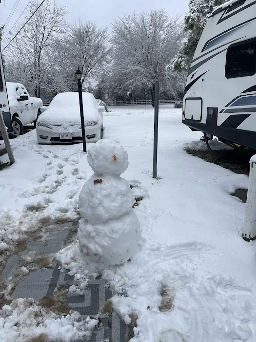 Live Oaks RV Parks Picture 9