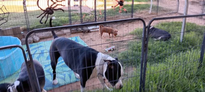 Almost Home RV Park Picture 7