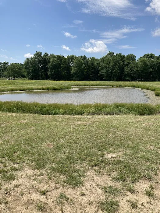 Almost Home RV Park Picture 5