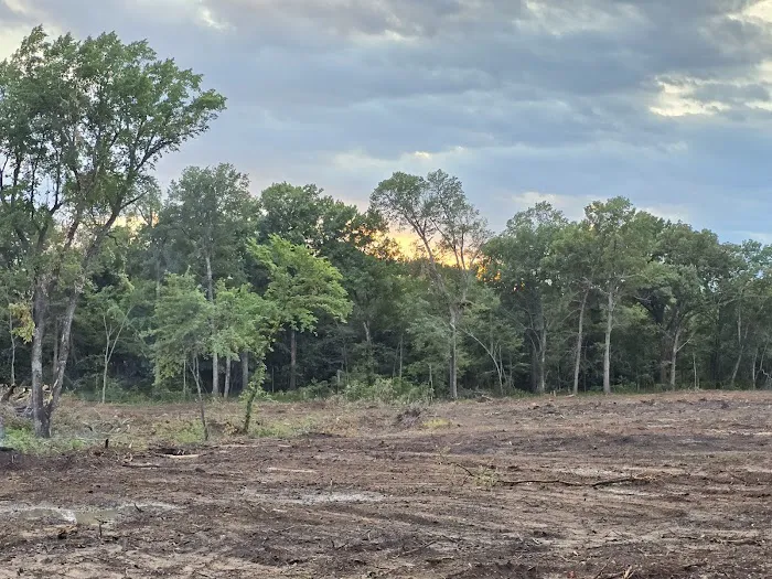 Live Oaks Rv Park C Picture 2