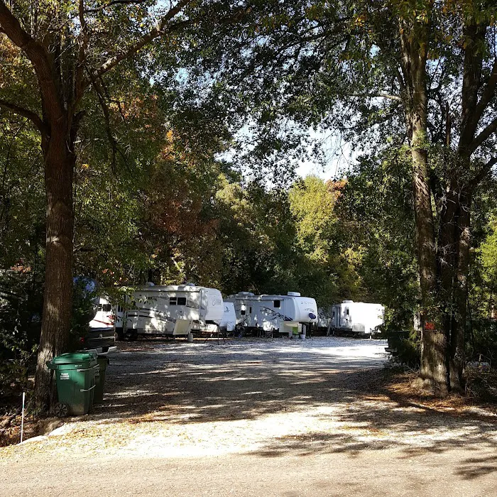 Live Oaks Rv Park C Picture 3
