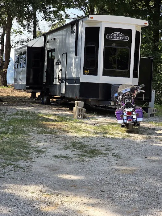 Live Oaks Rv Park C Picture 1