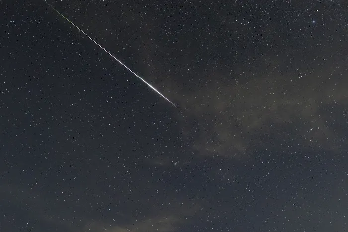 Lake Country RV Park Picture 3