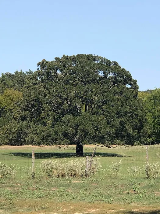 Lake Country RV Park Picture 4