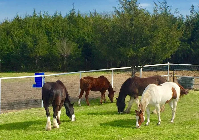 Lakeland RV Ranch and Campground, LLC Picture 3