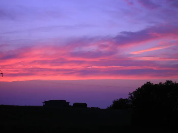 Coyote Ranch RV Park Picture 6