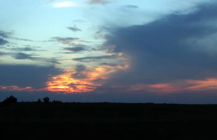 Coyote Ranch RV Park Picture 5