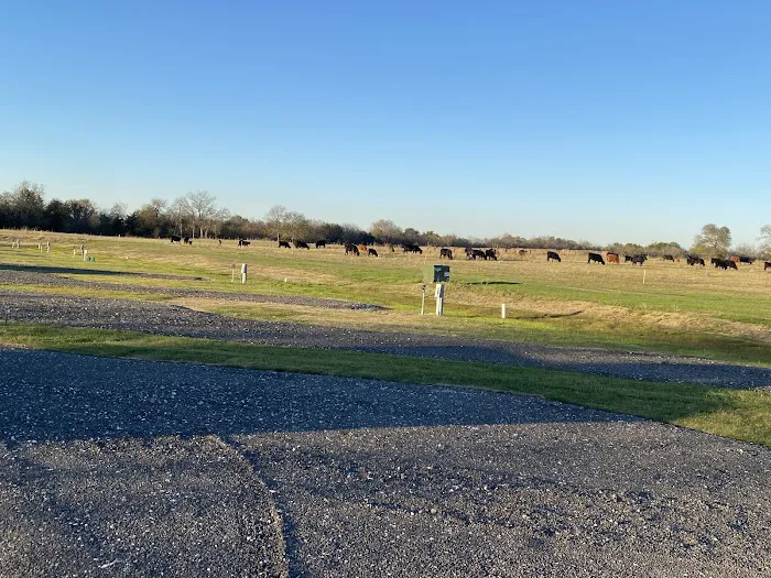 Chaparral Trail RV & Stables Picture 2