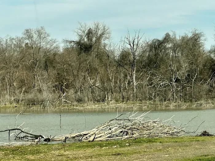Lake Waco Marina and RV Campground Picture 7