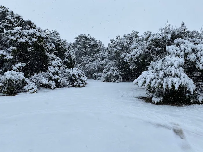 Camp Caravan RV Park Waco Picture 5