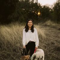 Campfire RV Park ico