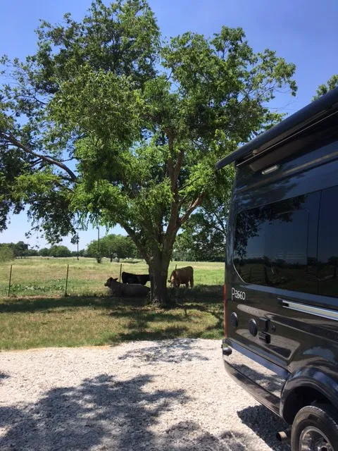 E Double H RV Park at Waco Lake Picture 10