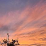 Bruceville Eddy RV Park