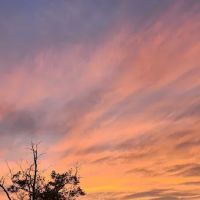 Bruceville Eddy RV Park ico