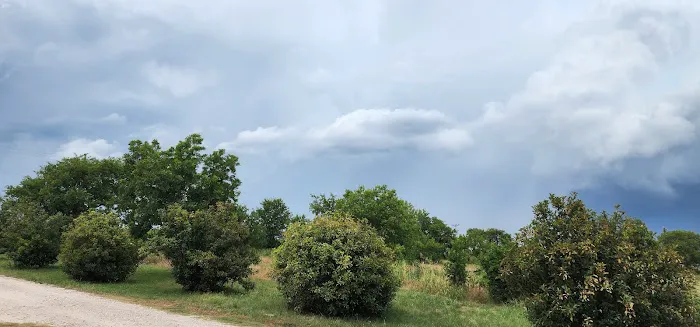 Bruceville Eddy RV Park Picture 2