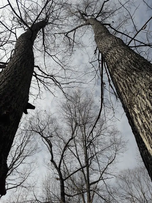 Bruceville Eddy RV Park Picture 6