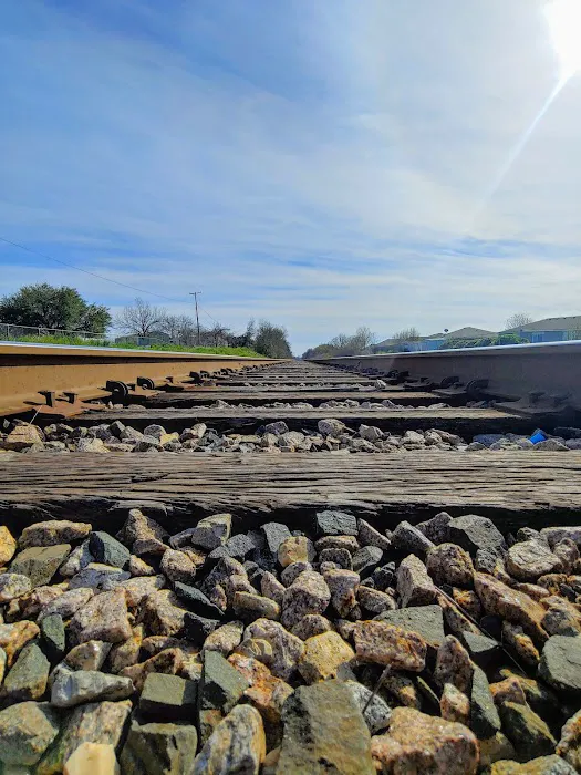 Bluebonnet Estates Picture 4