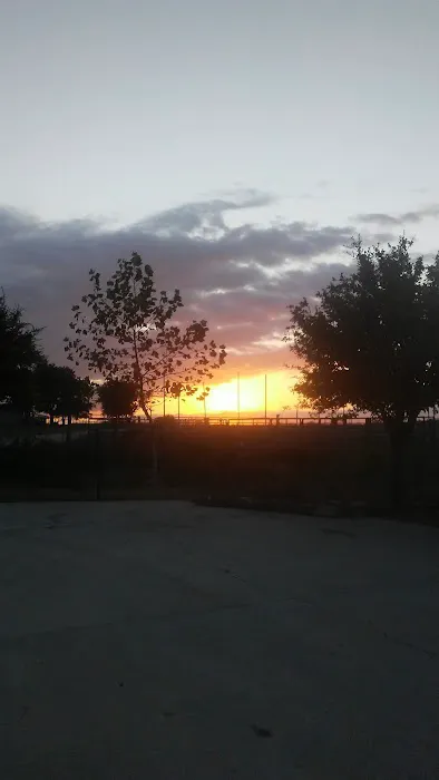 Bluebonnet Estates Picture 8