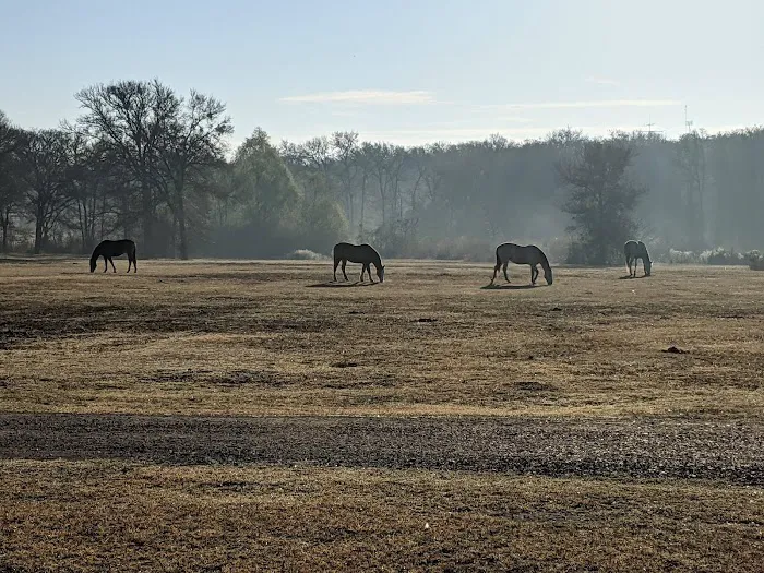 Stay at Diamond W Picture 1