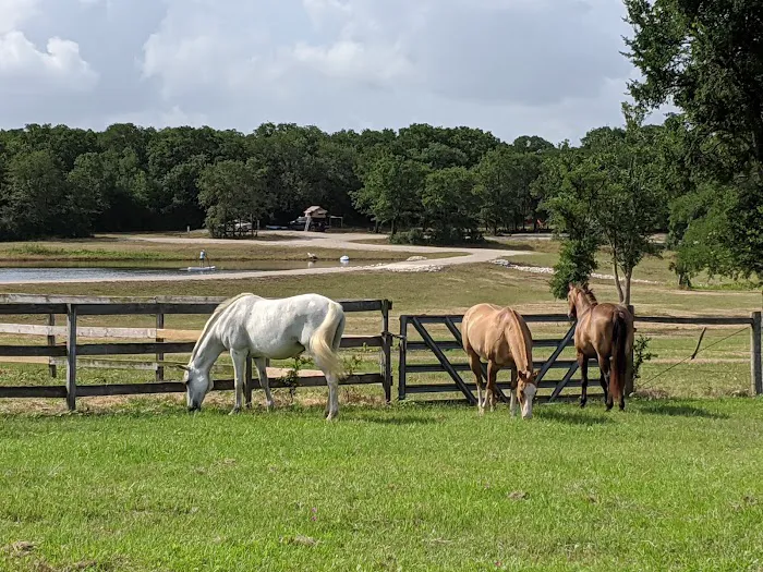 Stay at Diamond W Picture 5