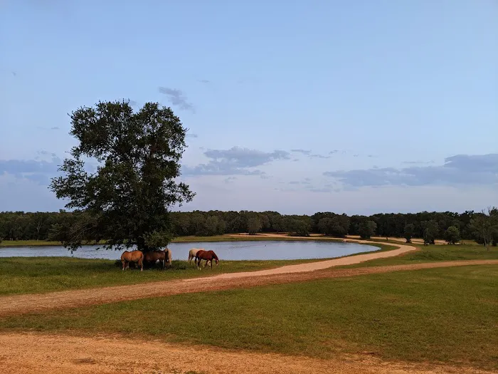 Stay at Diamond W Picture 9