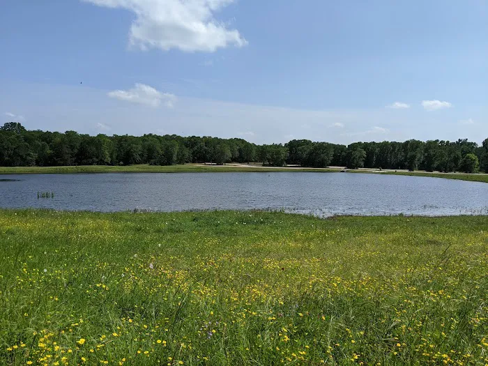 Stay at Diamond W Picture 8