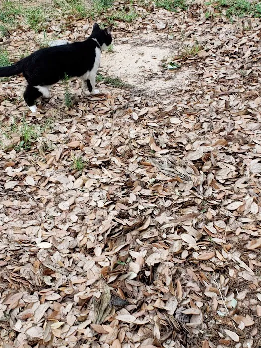 Country Village Picture 3