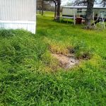 Coyote Crossing Trailer Park & Rental Property