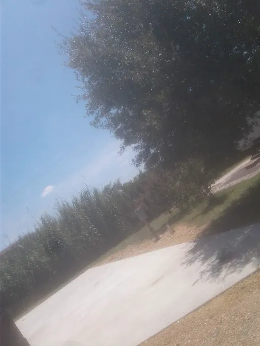 21 Palms RV Park Picture 10