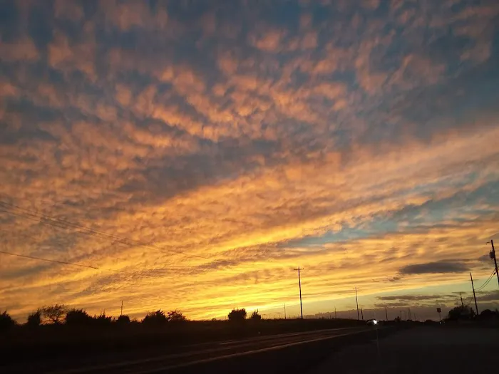 Lazy Oaks RV Park Picture 7