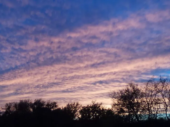 Lazy Oaks RV Park Picture 5