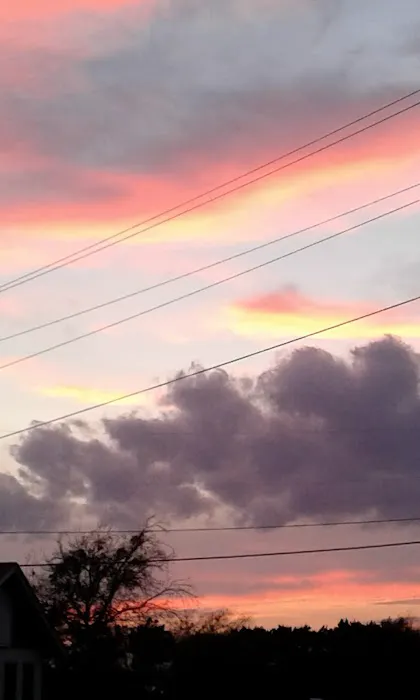 Rose Harbor RV Park Picture 2