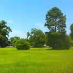 Pecan Acres Mobile Home Park