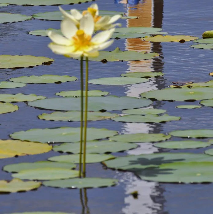 Crockett Lakefront Rv Resort & Marina Picture 8